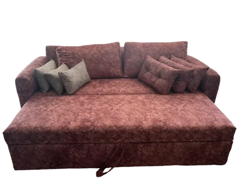 Red Sofa Bed